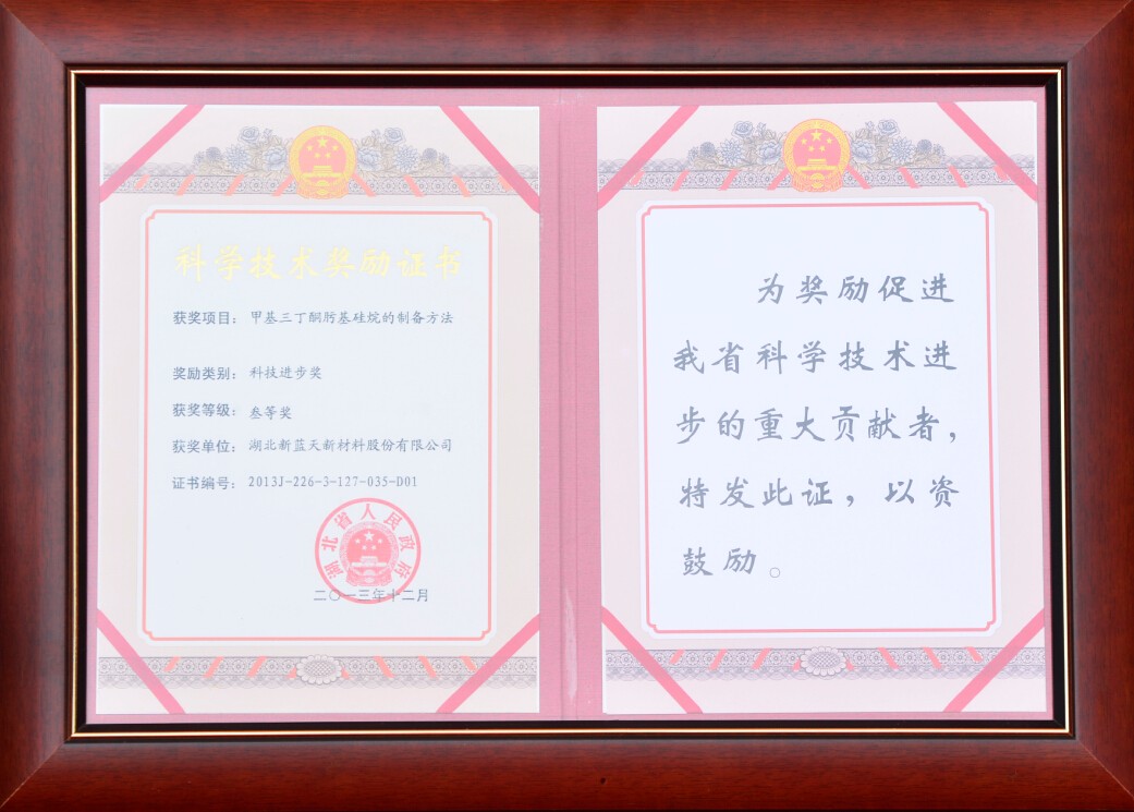 Hubei Science and Technology Progress Award