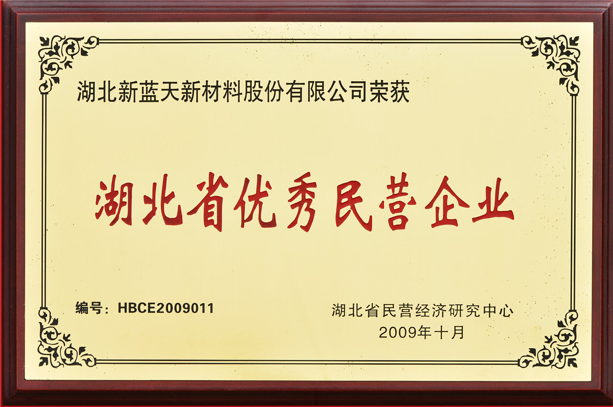 2009 Excellent Private Enterprise in Hubei Province