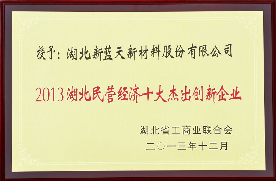 Top Ten Outstanding Innovative Enterprises in the Private Economy of Hubei Province in 2013