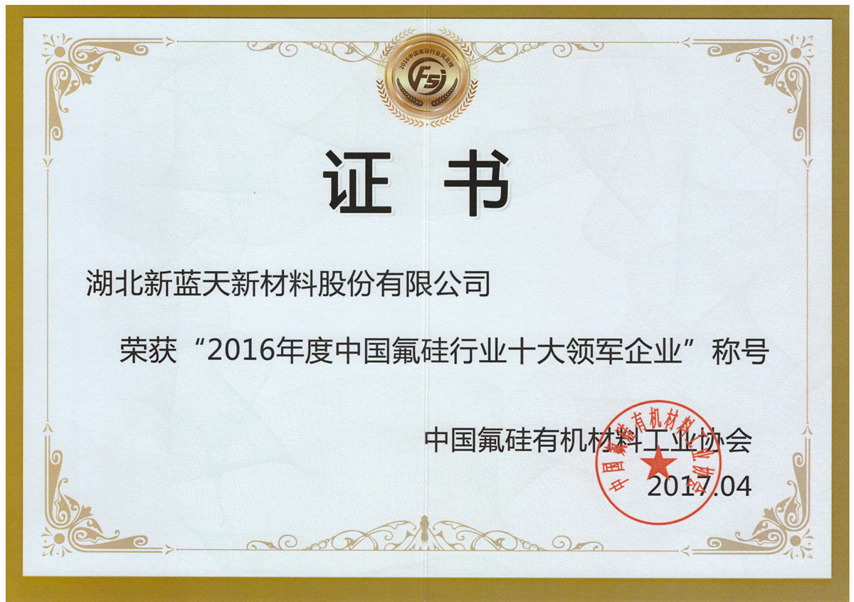 2016 Certificate of Top Ten Leading Enterprises in the Fluorosilicon Industry